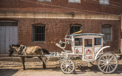 Sadiq Khan To Reintroduce Horses & Carts For A “Greener, More Sustainable Transport For London”