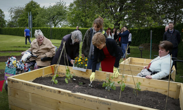 Dangerous Levels of Hubris Found in Nicola Sturgeon’s Garden