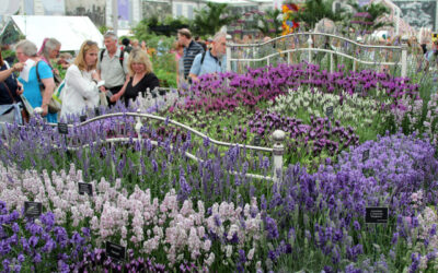 Chelsea Flower Show Announces New Head Of Diversity Will ‘Prioritise Conservation, Reduce Annual Carbon Footprint And Kill All White Men’