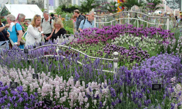 Chelsea Flower Show Announces New Head Of Diversity Will ‘Prioritise Conservation, Reduce Annual Carbon Footprint And Kill All White Men’