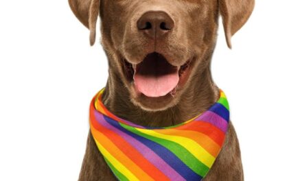 Dog Owners Encouraged To Use Gender-Neutral Pronouns For Pets