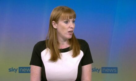Angela Rayner Only Working Class Person Still Voting For Labour