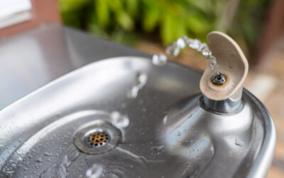 In Order To Ease Racial Tensions And Inequality, Universities Install Separate Water Fountains For People Of Colour