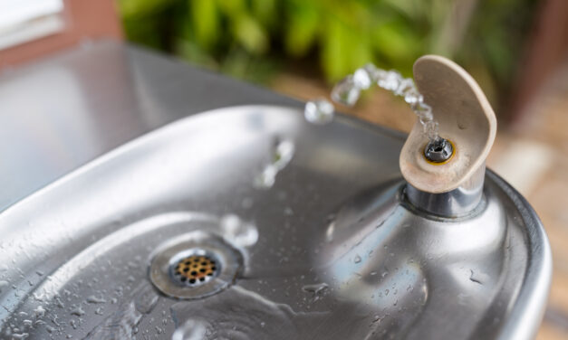 In Order To Ease Racial Tensions And Inequality, Universities Install Separate Water Fountains For People Of Colour