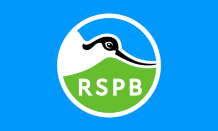 Revealed: RSPB Staff Made Up Entirely Of Great Tits