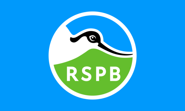 Revealed: RSPB Staff Made Up Entirely Of Great Tits