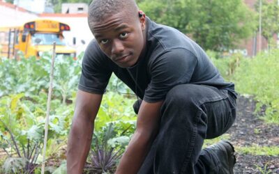 BBC: Black Youths With Machetes “Merely Keen Gardeners”