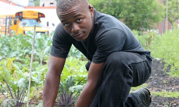 BBC: Black Youths With Machetes “Merely Keen Gardeners”